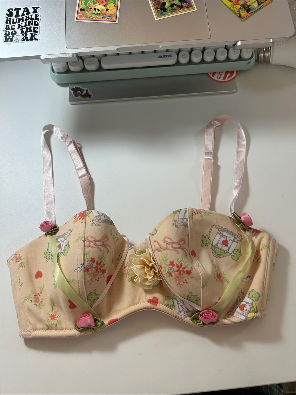 Hillard & Hanson Pink Floral Padded Underwire Bra with Rose Accents